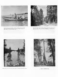 Park Rapids, Leech Lake Forest, Lake Sagena, Basswood Lake, Le Sueur County 1963